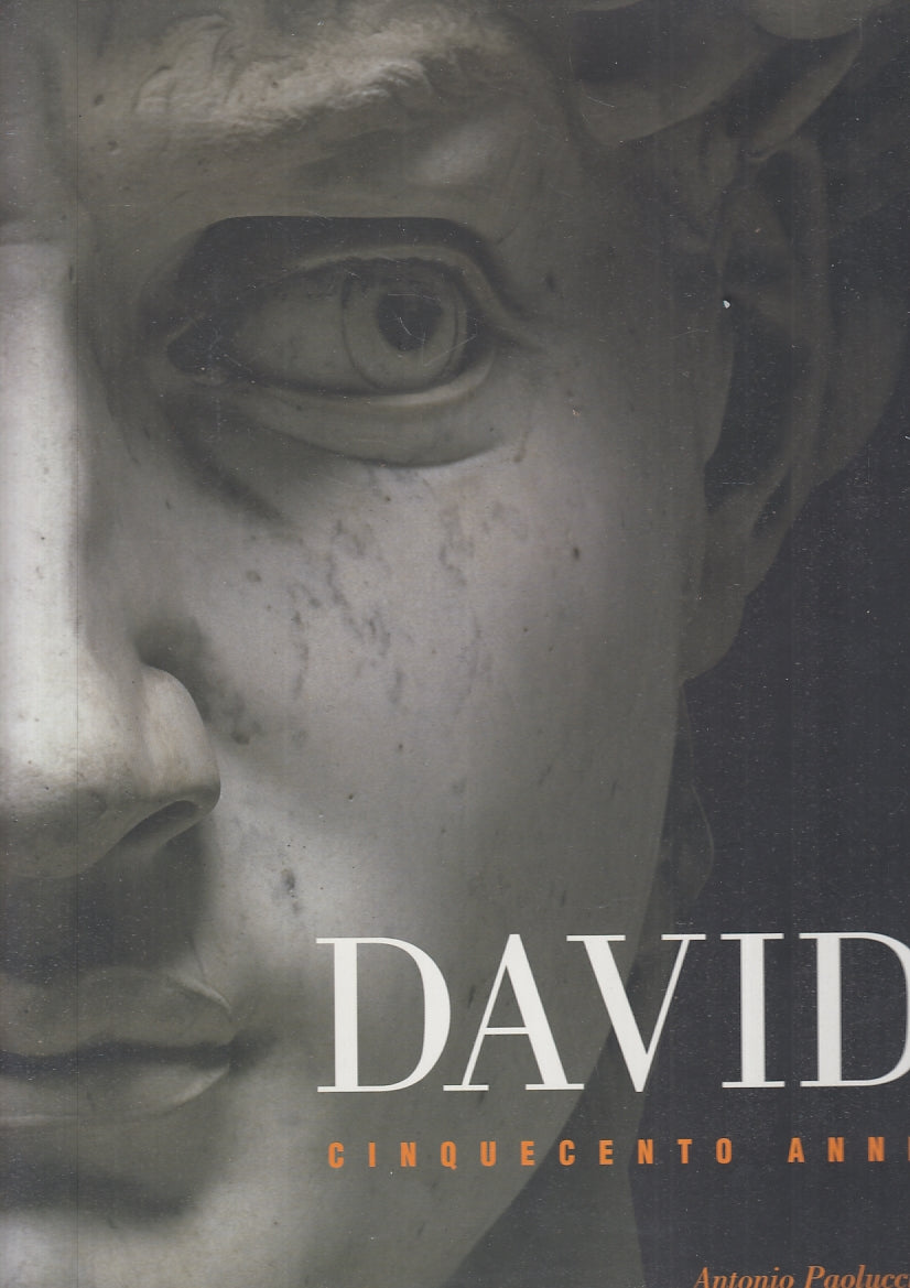 LT- DAVID CINQUECENTO ANNI - ANTONIO PAOLUCCI - SCALA GROUP --- 2006- CS- YFS806