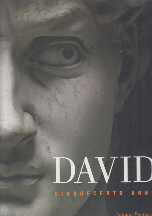 LT- DAVID CINQUECENTO ANNI - ANTONIO PAOLUCCI - SCALA GROUP --- 2006- CS- YFS806