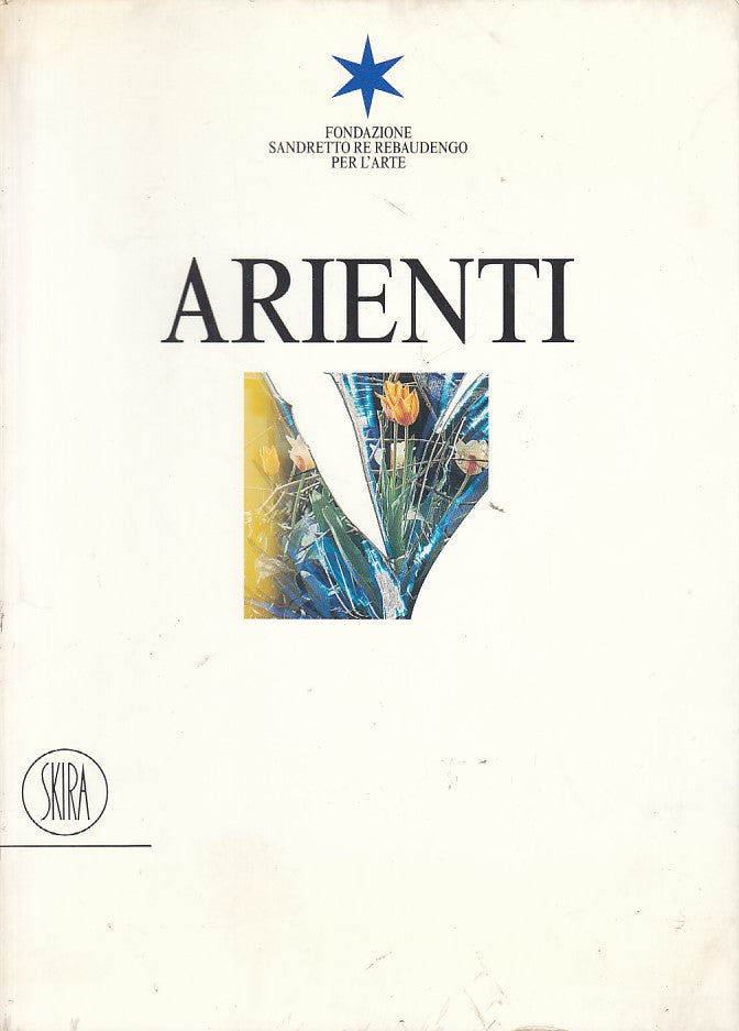 LT- STEFANO ARIENTI - SANDRETTO RE REBAUDENGO ARTE - SKIRA --- 1997 - B - YDS445
