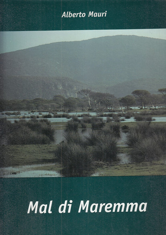 LV- MAL DI MAREMMA- ALBERTO MAURI- GRUPPO EDITORIALE FAENZA--- 2001- CS - YDS350