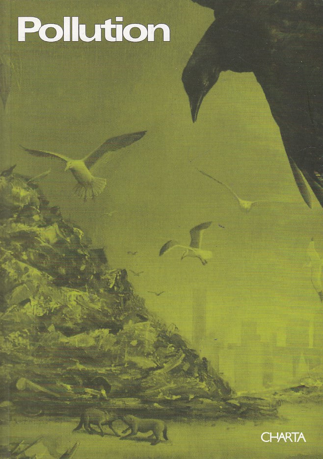 LT- POLLUTION CATALOGO MOSTRA ARTE CONTEMPORANEA -- CHARTA --- 1998 - B - YDS446