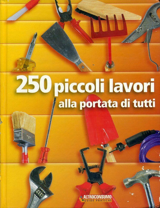 LZ- 250 PICCOLI LAVORI PORTATA DI TUTTO GUIDA -- ALTROCONSUMO--- 2006- C- YDS108