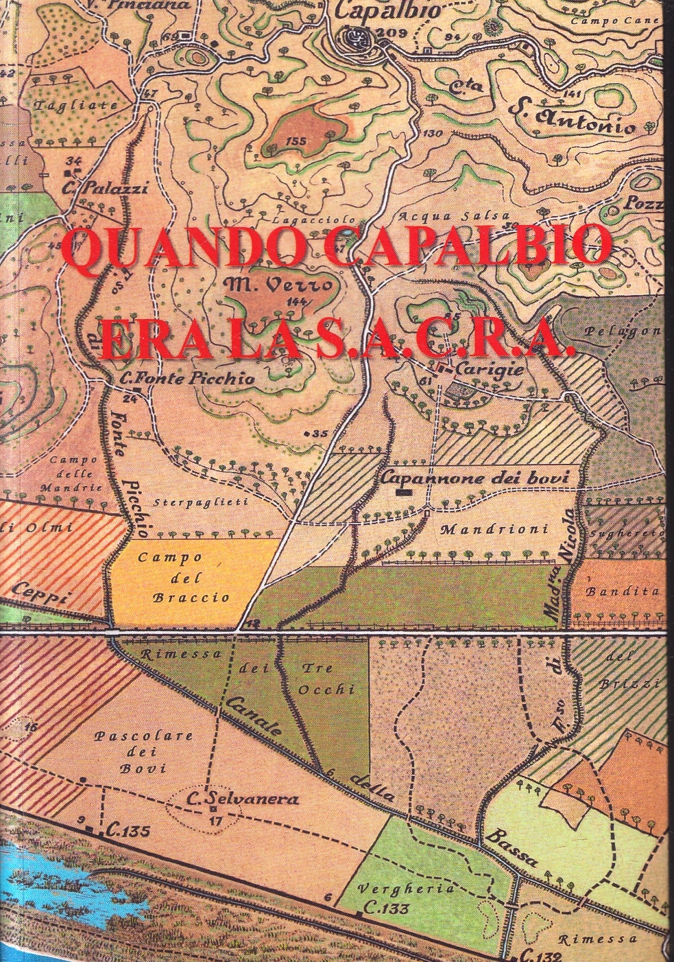 LS- QUANDO CAPALBIO ERA LA S.A.C.R.A. - LUCIANO DOMENICHELLI ----- B - YFS180