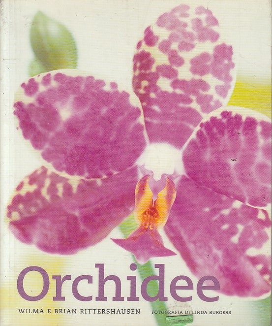 LS- ORCHIDEE - RITTERSHAUSEN BURGESS - MANGO -- 1a ED. - 2005 - B - YFS426