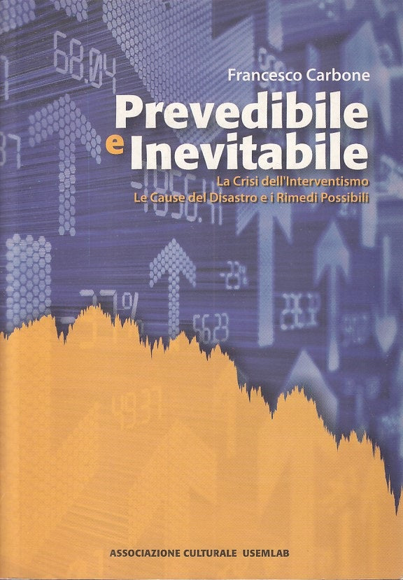 LS- PREVEDIBILE E INEVITABILE CRISI - CARBONE - USEMLAB --- 2009 - B - YFS318