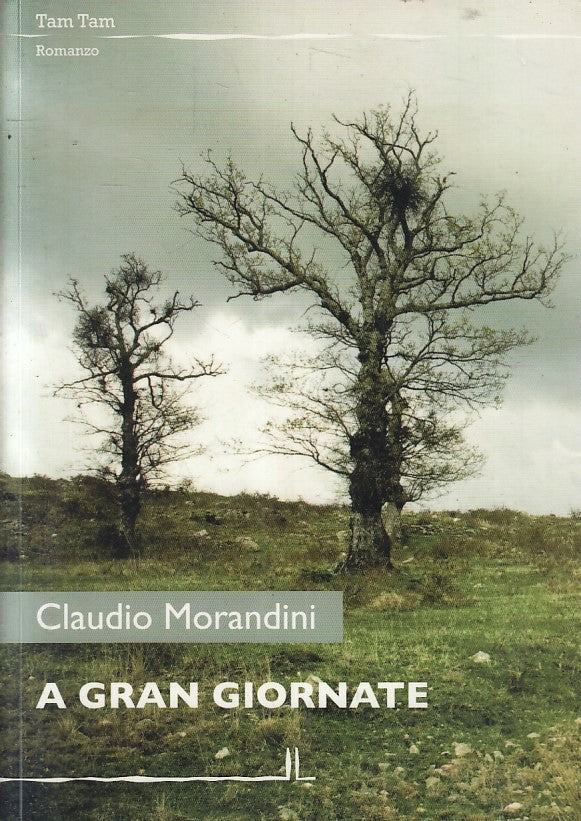 LN- A GRAN GIORNATE - CLAUDIO MORANDINI - LA LINEA - TAM TAM -- 2012- B- YFS377