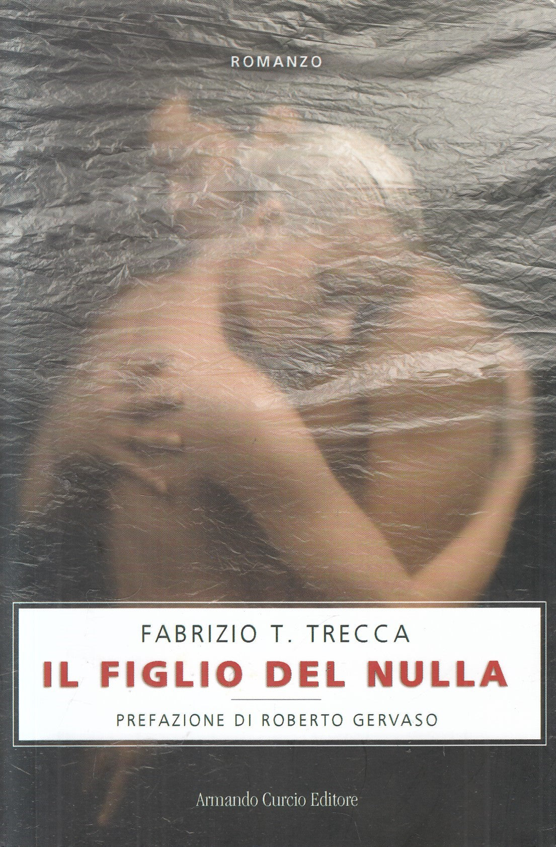 Il figlio del nulla - Fabrizio T. Trecca - Armando Curcio - 2013 - ZFS86