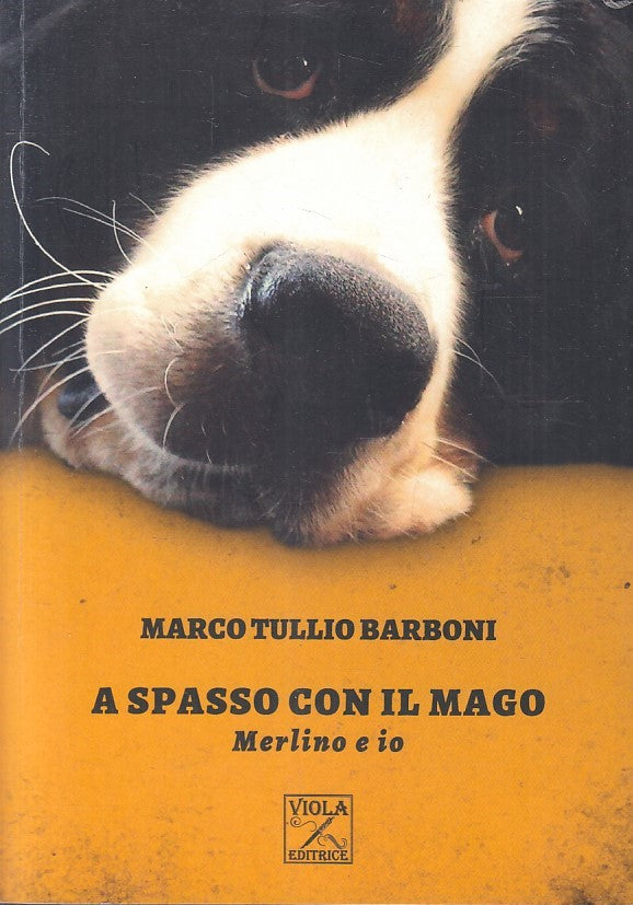 LN- SPASSO CON IL MAGO MERLINO E IO- MARCO TULLIO BARBONI- VIOLA- 2017- B-YFS331