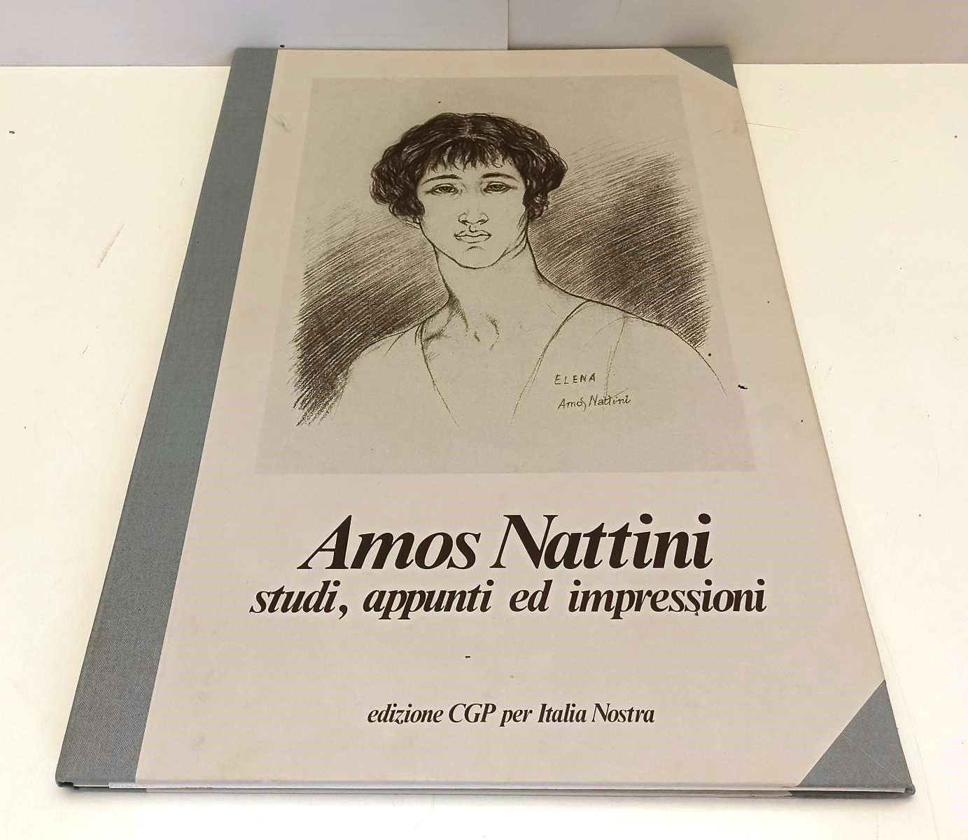 LT- AMOS NATTINI STUDI APPUNTI ED IMPRESSIONI 12 DISEGNI- CGP ITALIA NOSTRA- ZFS