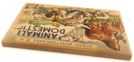 LB- ANIMALI DOMESTICI POP-UP -- ALBUM MEDITERRANEA N.13 --- 1943 - C - XFS130