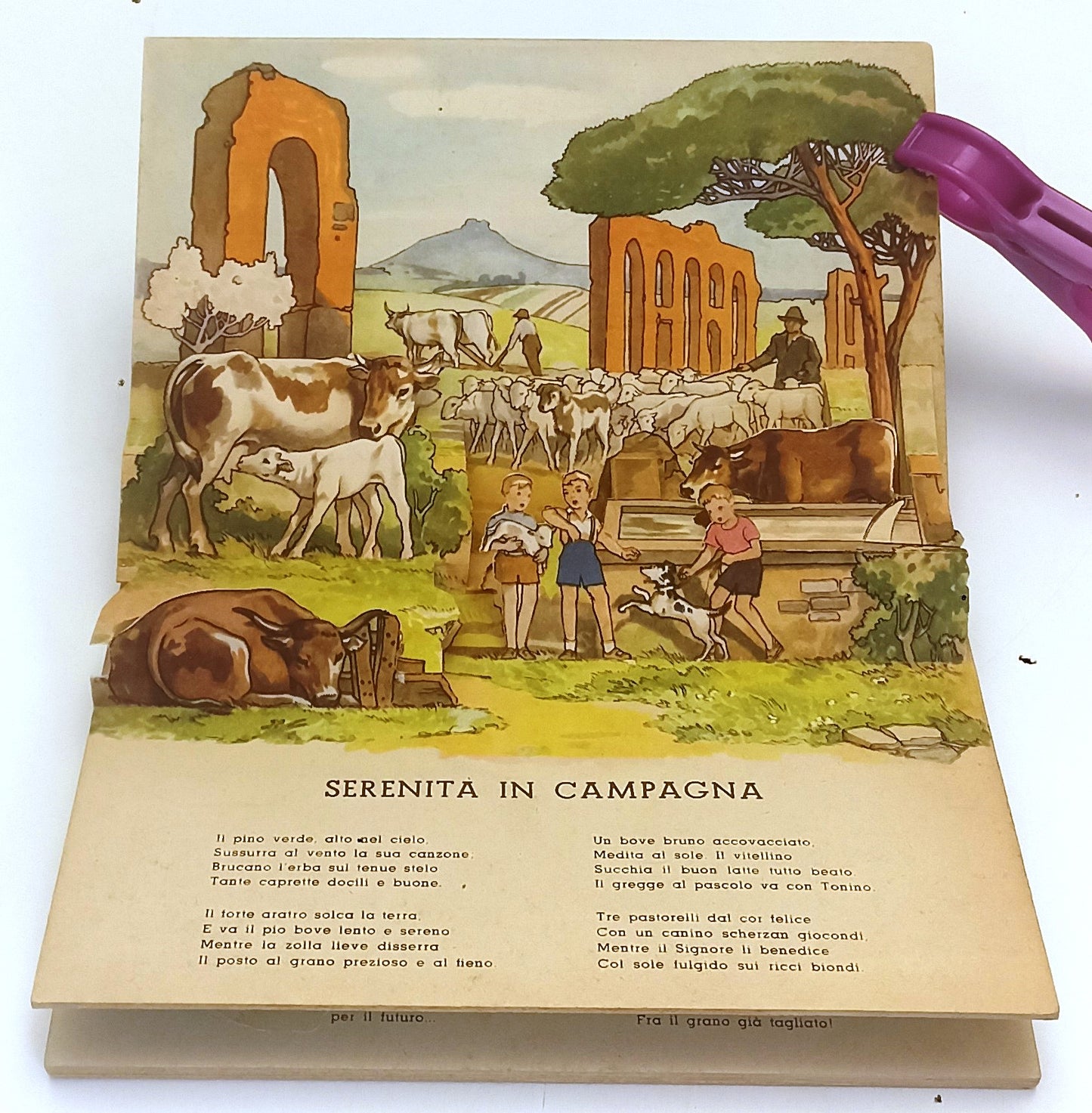 LB- ANIMALI DOMESTICI POP-UP -- ALBUM MEDITERRANEA N.13 --- 1943 - C - XFS130