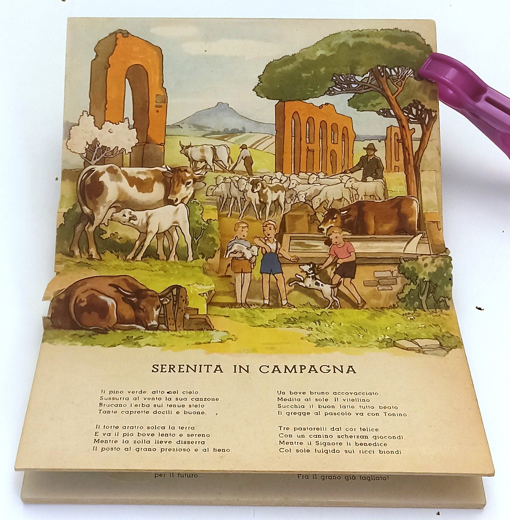 LB- ANIMALI DOMESTICI POP-UP -- ALBUM MEDITERRANEA N.13 --- 1943 - C - XFS130