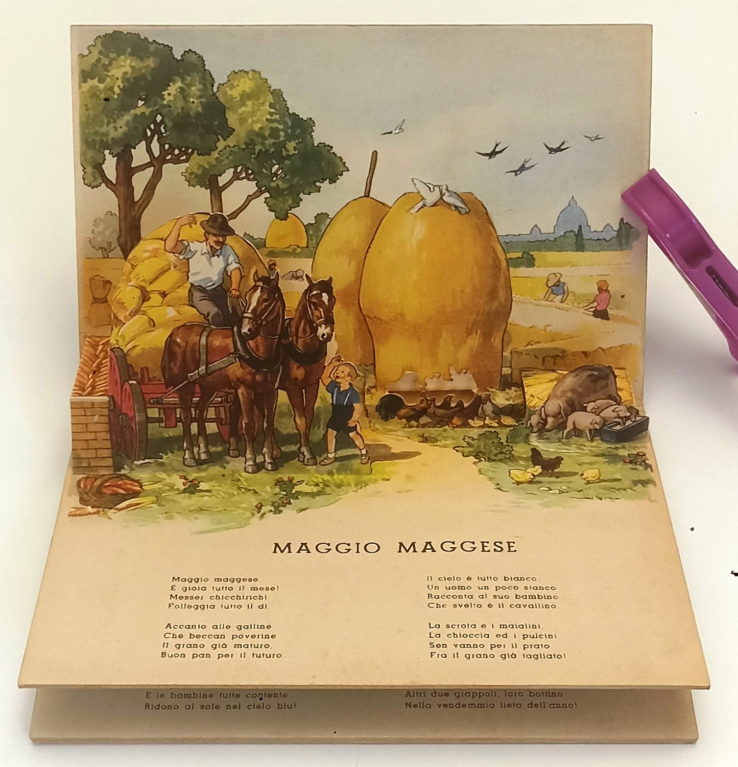 LB- ANIMALI DOMESTICI POP-UP -- ALBUM MEDITERRANEA N.13 --- 1943 - C - XFS130