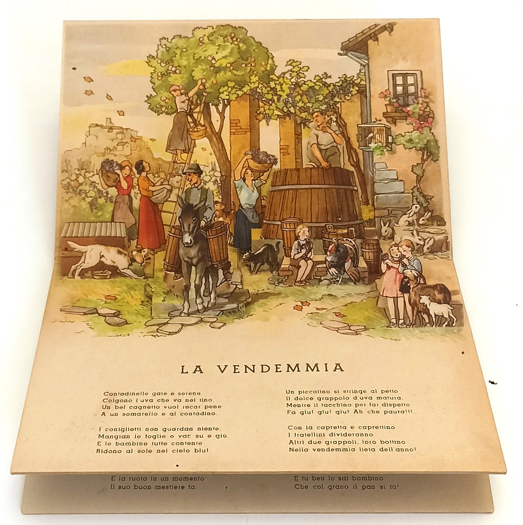 LB- ANIMALI DOMESTICI POP-UP -- ALBUM MEDITERRANEA N.13 --- 1943 - C - XFS130