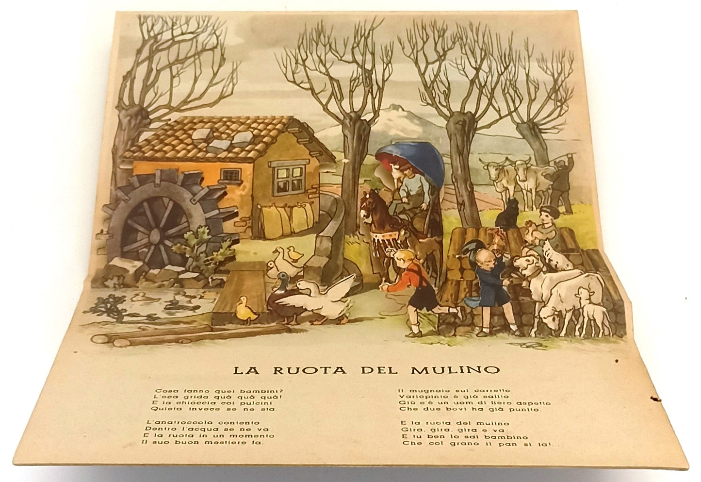 LB- ANIMALI DOMESTICI POP-UP -- ALBUM MEDITERRANEA N.13 --- 1943 - C - XFS130