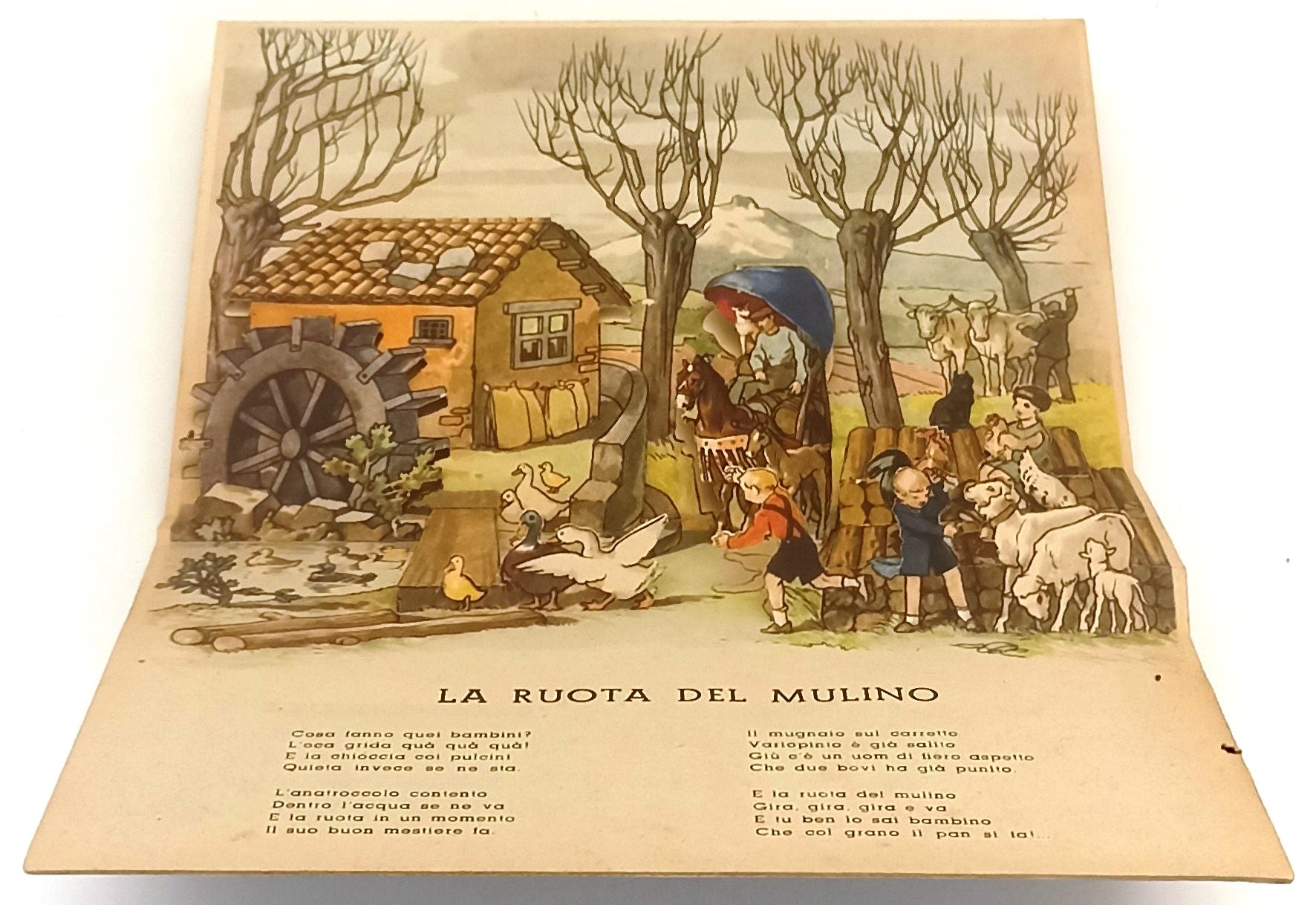LB- ANIMALI DOMESTICI POP-UP -- ALBUM MEDITERRANEA N.13 --- 1943 - C - XFS130