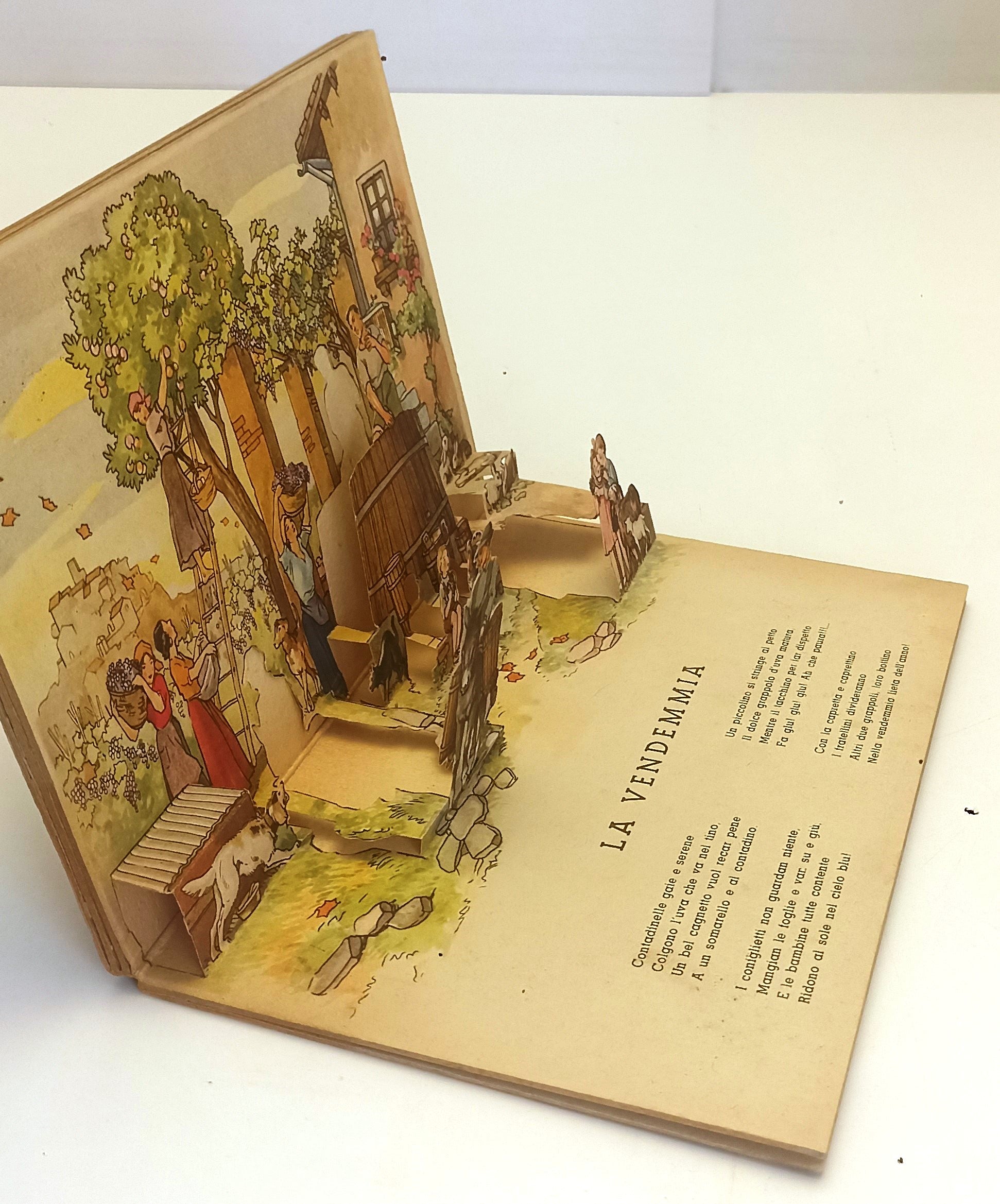 LB- ANIMALI DOMESTICI POP-UP -- ALBUM MEDITERRANEA N.13 --- 1943 - C - XFS130