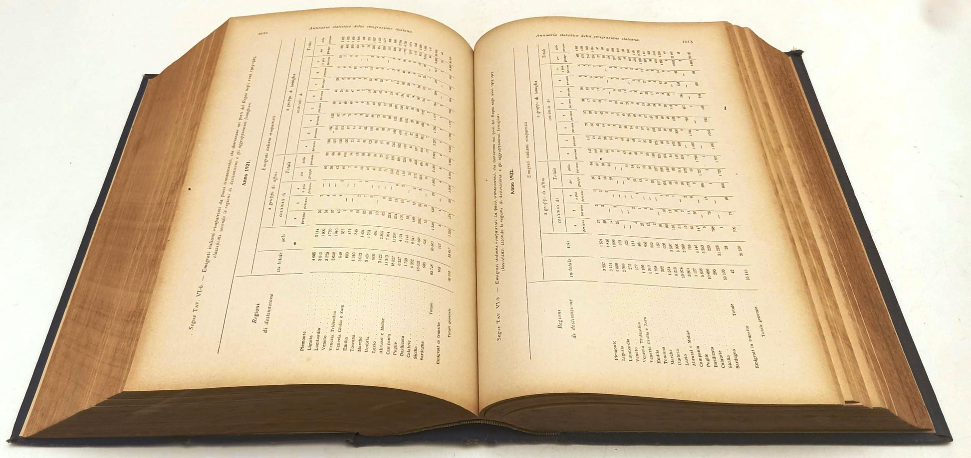 LS- ANNUARIO STATISTICO DELLA EMIGRAZIONE ITALIANA DAL 1876 AL 1925 - YFS877