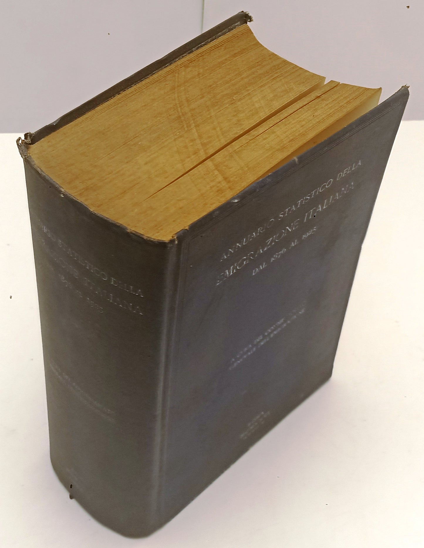 LS- ANNUARIO STATISTICO DELLA EMIGRAZIONE ITALIANA DAL 1876 AL 1925 - YFS877