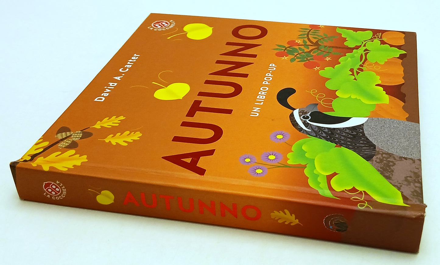 LB- AUTUNNO UN LIBRO POP-UP - DAVID A. CARTER - LA COCCINELLA --- 2017- C- ZFS38