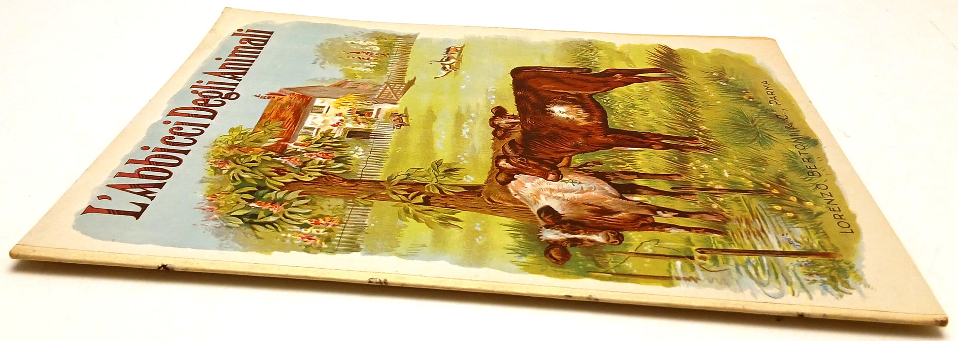 L'Abbicci degli animali - Lorenzo Bertoni - illustrato per bambini - RVSa1017