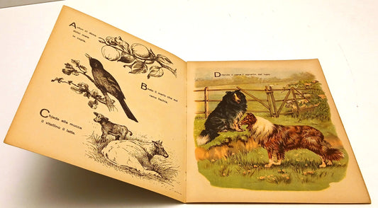 L'Abbicci degli animali - Lorenzo Bertoni - illustrato per bambini - RVSa1017