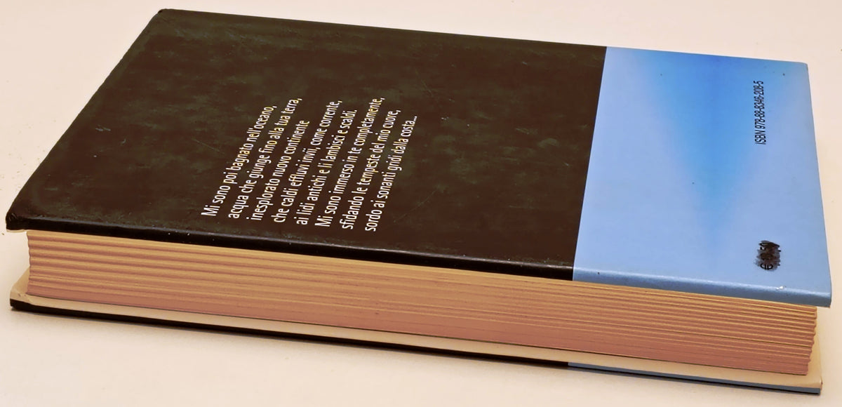 L'adultero di Belfast - Gaetano Montefusco - Graus Tracce - 1a ed. - ZFS298