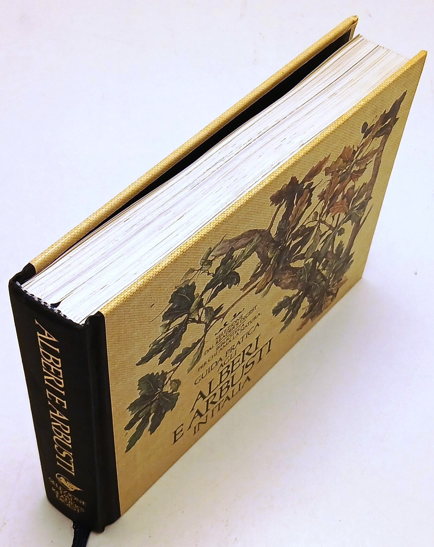 Guida pratica agli Alberi e Arbusti in Italia - Reader's Digest - 1a ed.- ZFS242