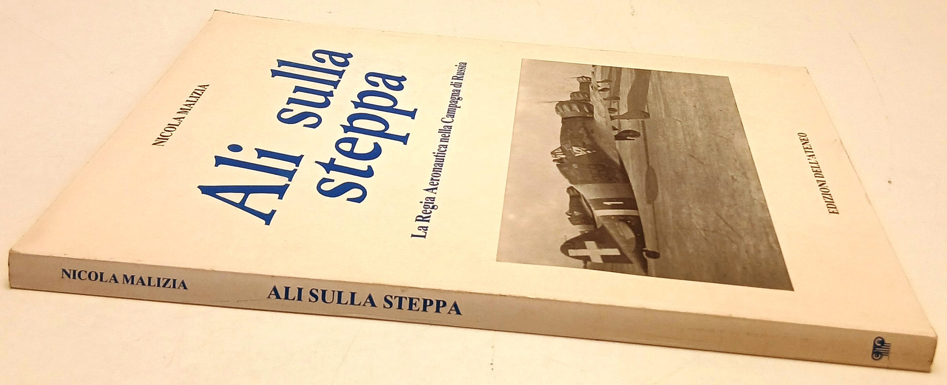 Ali sulla Steppa Regia Aeronautica Campagna Russia- Malizia- Dell'Ateneo- YFS774