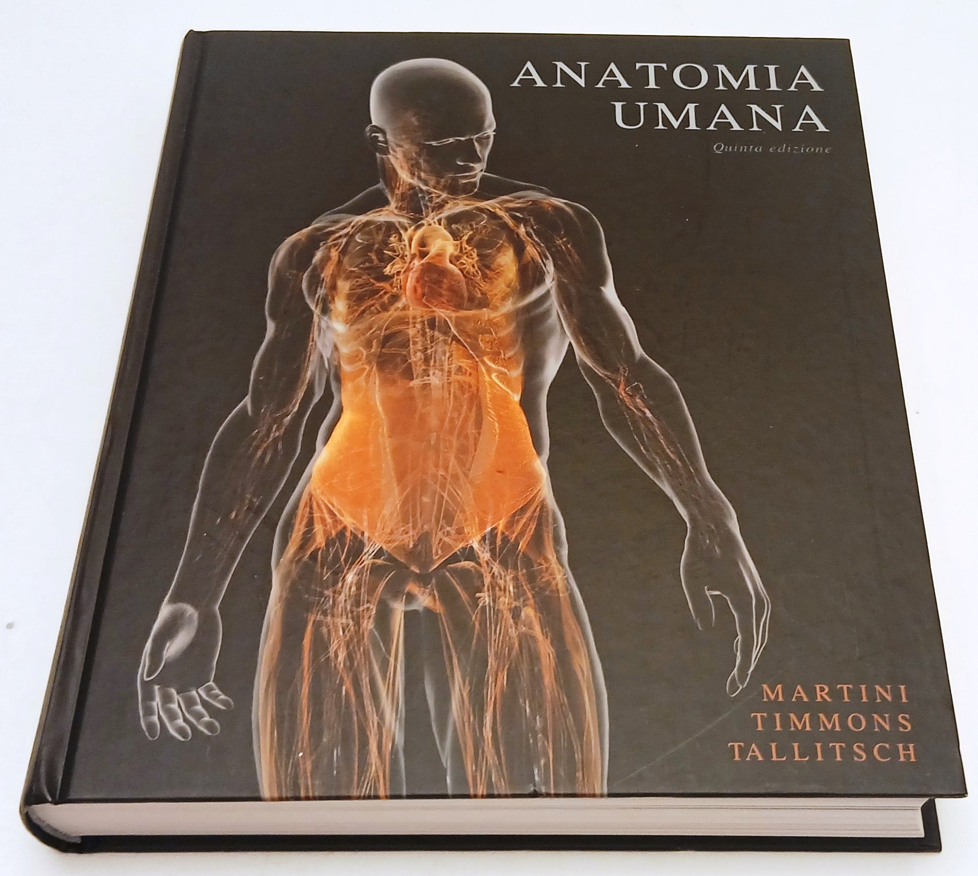 Anatomia umana - Martini Timmons Tallitsch - Edises - con DVD - YFS795
