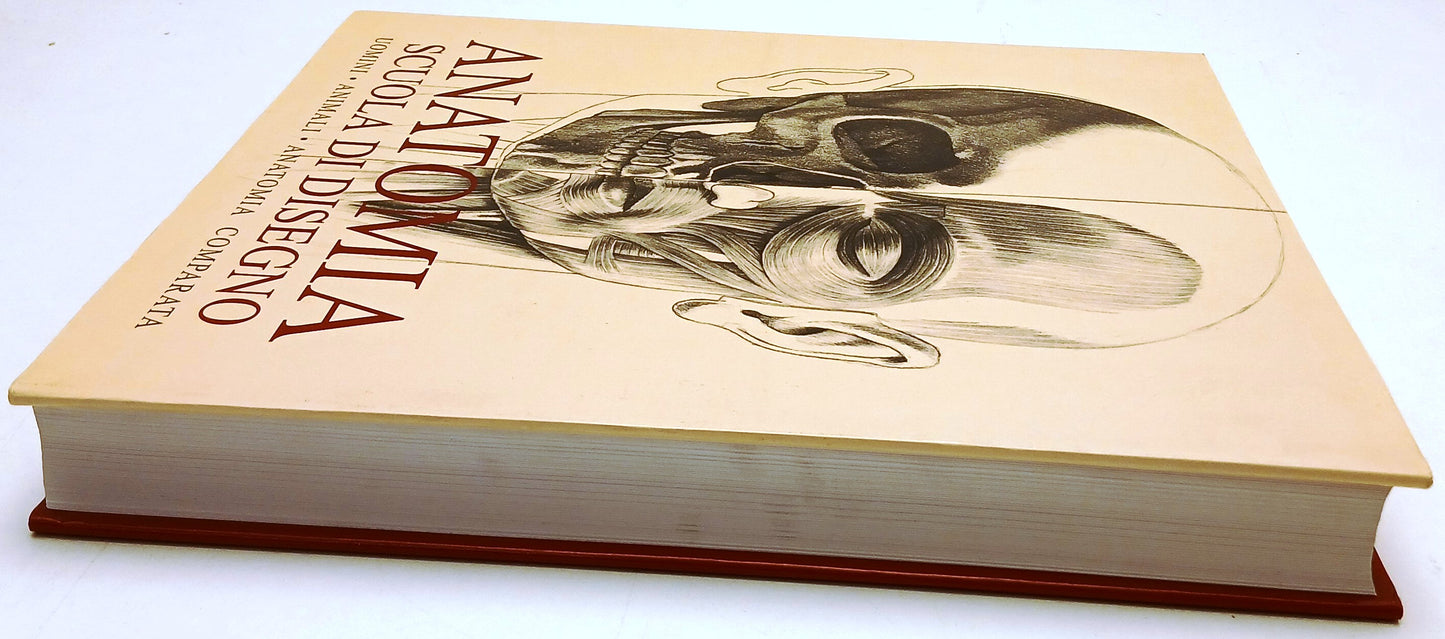 Anatomia Scuola di disegno Uomini animali anatomia - Konemann - 1a ed.- YFS938