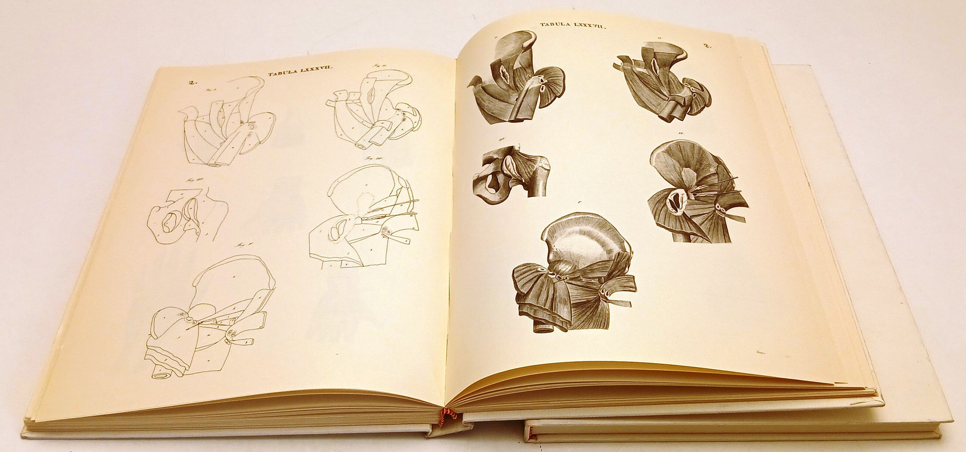 Icones Anatomicae volumi I/II - Caldani - Torchio de' Ricci - anastatica- YFS816