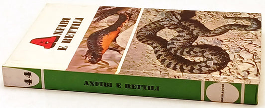 Piccole Guide Mondadori - illustrato a colori - scegli il titolo - ZFS164
