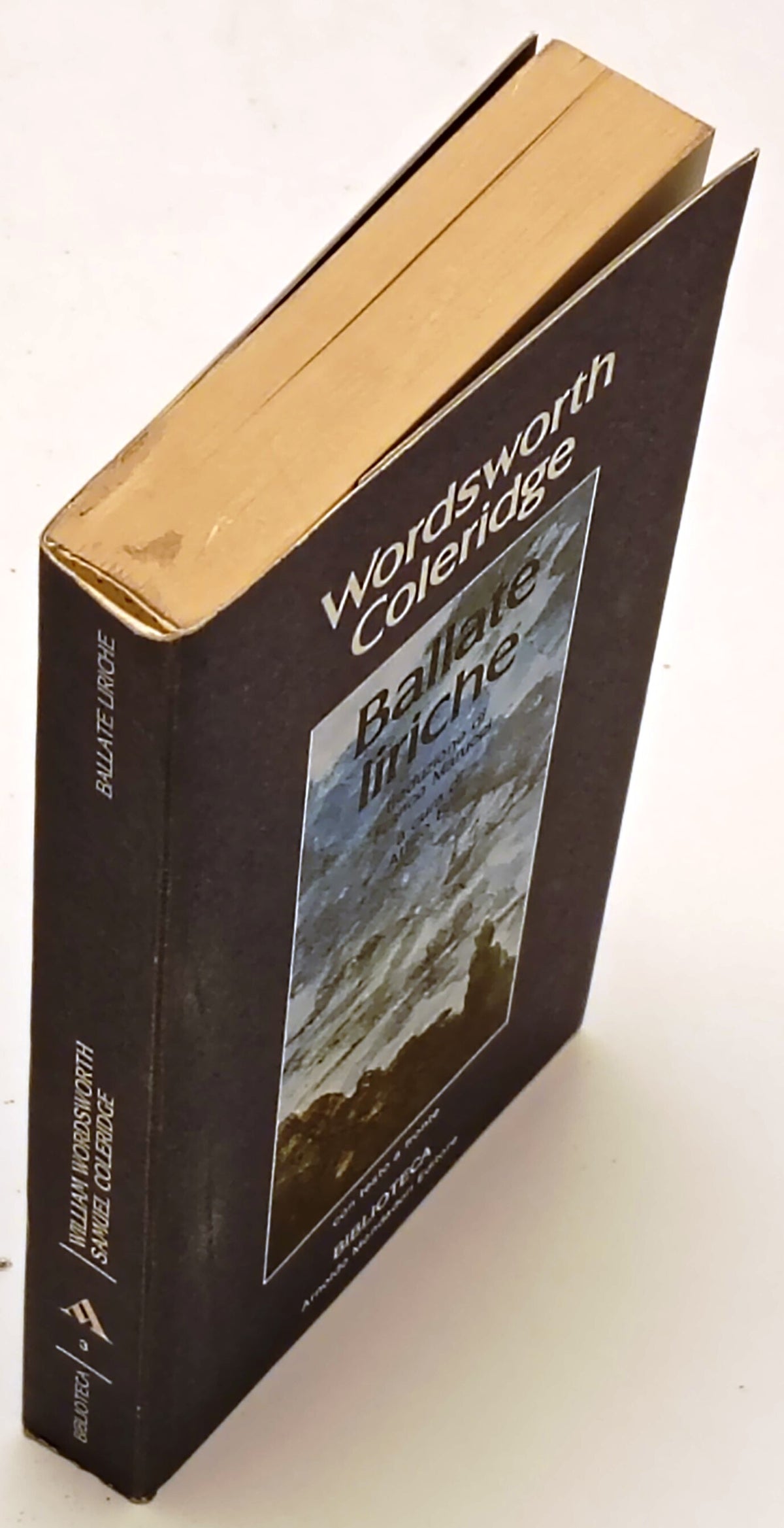 Ballate liriche - Wordsworth Coleridge - Mondadori - testo a fronte - ZFS284