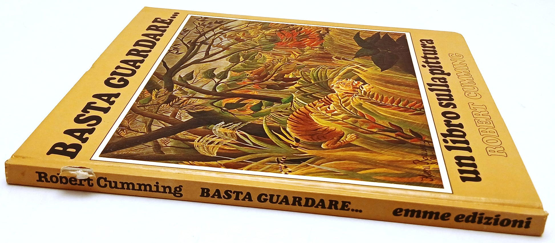 Basta guardare Un libro sulla pittura - Robert Cumming - Emme edizioni - XFS213