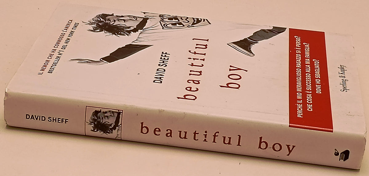 Beautiful Boy - David Sheff - Sperling Kupfer Narrativa - 1a ed. - ZFS290