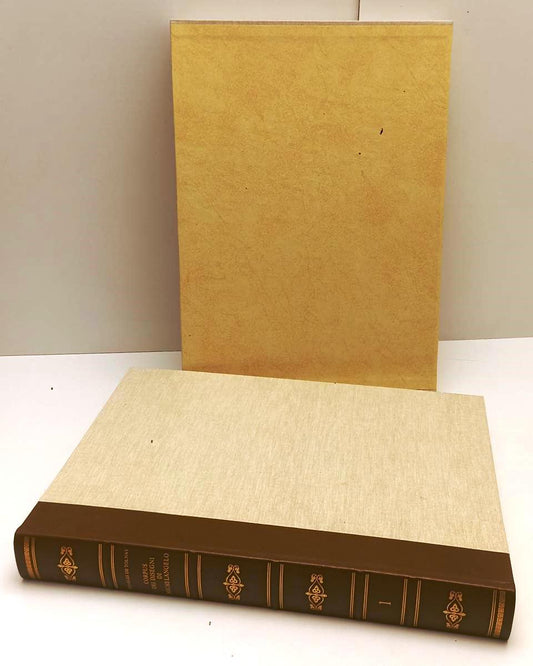 LT- CORPUS DEI DISEGNI DI MICHELANGELO I - DE TOLNAY - DeAGOSTINI - 1975- C- ZFS