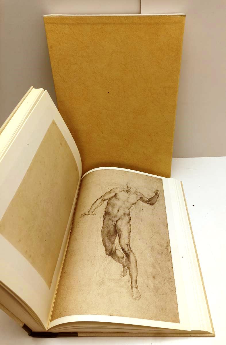 LT- CORPUS DEI DISEGNI DI MICHELANGELO II - DE TOLNAY - DeAGOSTINI- 1976- C- ZFS