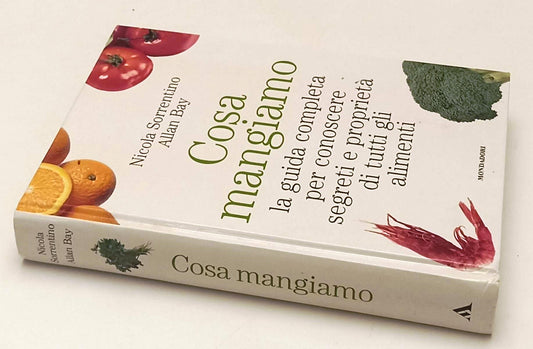 LK- COSA MANGIAMO - NICOLA SORRENTINO ALLAN BAY - MONDADORI --- 2011 - C- YFS625