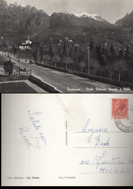 CARTOLINA - PADAVENA VIALE VITTORIO VENETO E VILLE BELLUNO - CRT2112