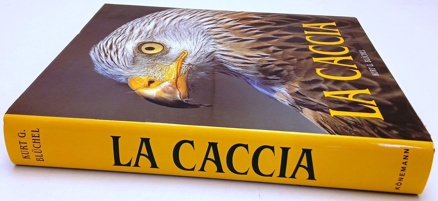 La caccia - Kurt G. Bluchel - Konemann - 1a ed. - YFS684