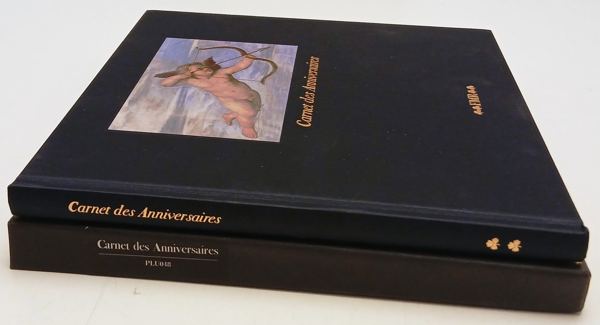 Carnet des anniversaires Carnet anniversari - FMR Franco Maria Ricci - 2005- XFS