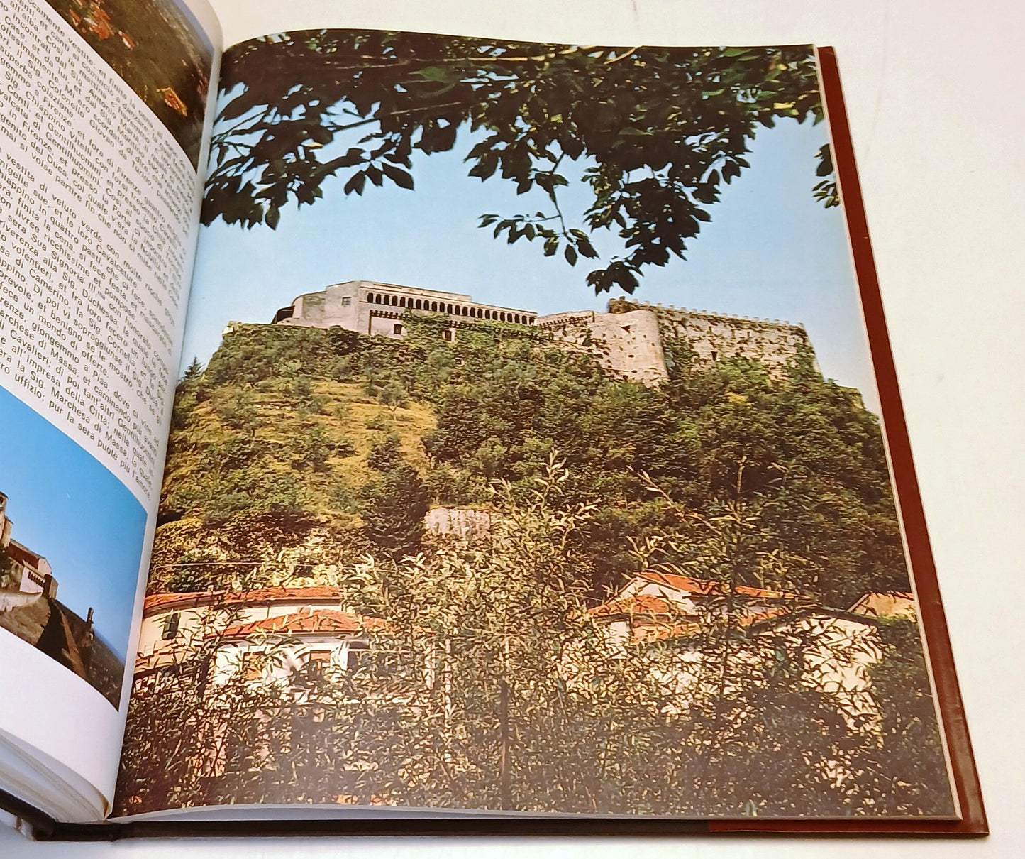 Il castello Malaspina Cybo a Massa - Franco Buselli - 1a ed. - YFS73