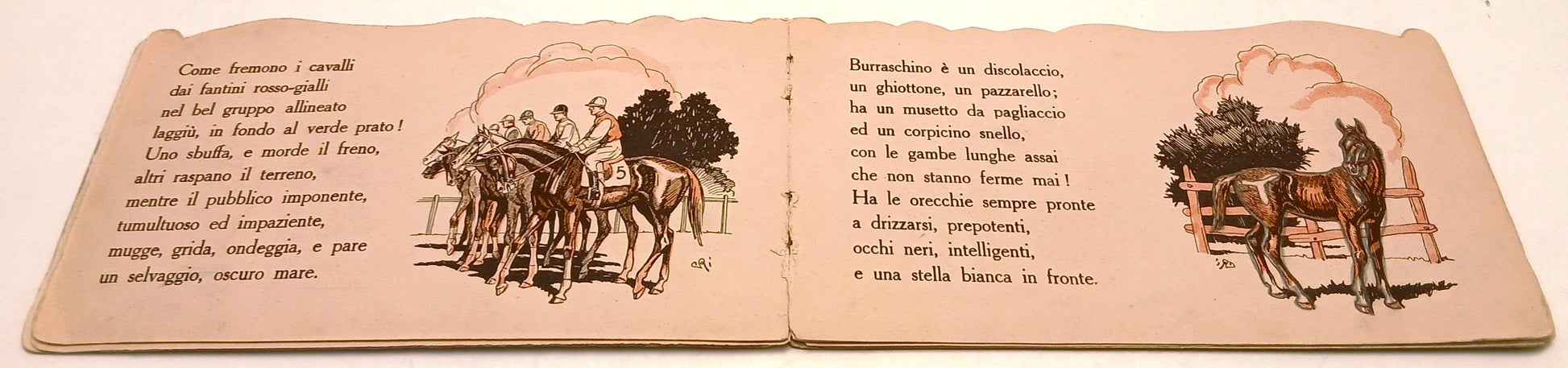 Animali Domestici Cavallo- Ambrosi Romanelli- Tirrenia- 1a ed.- sagomato-RVSa991