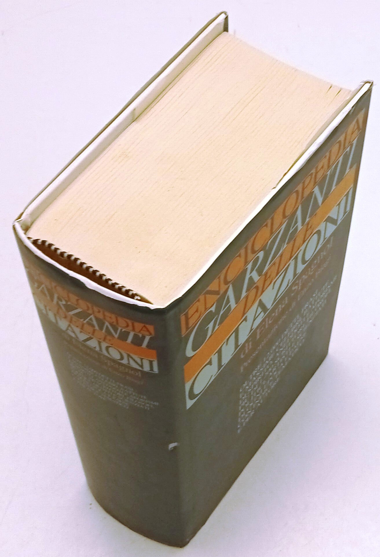 Enciclopedia delle Citazioni - Elena Spagnol - Mondolibri - ZFS268