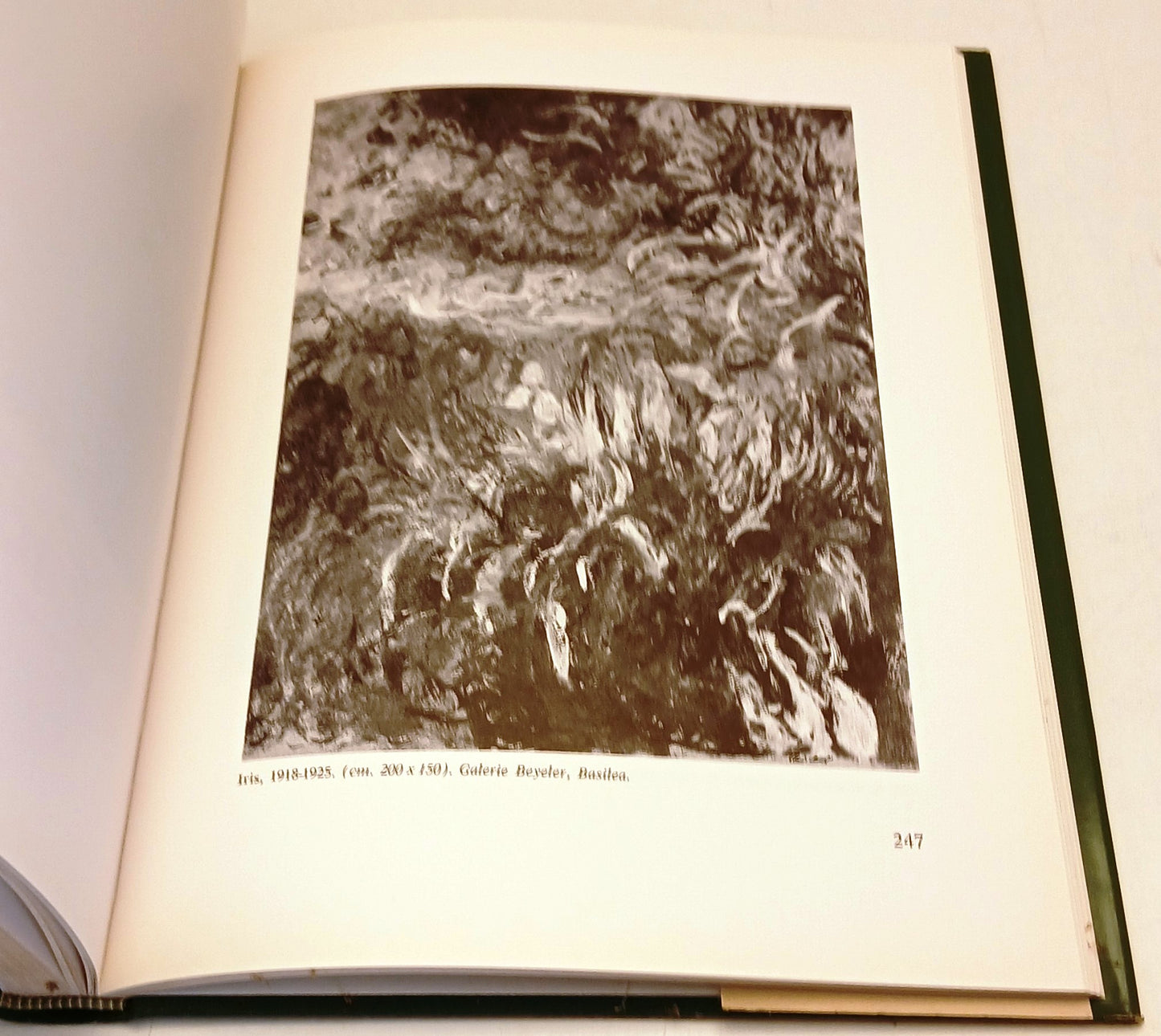 Claude Monet - Arturo Bovi- Il Fiorino Minuti Menarini Collezione d'Arte- YFS870