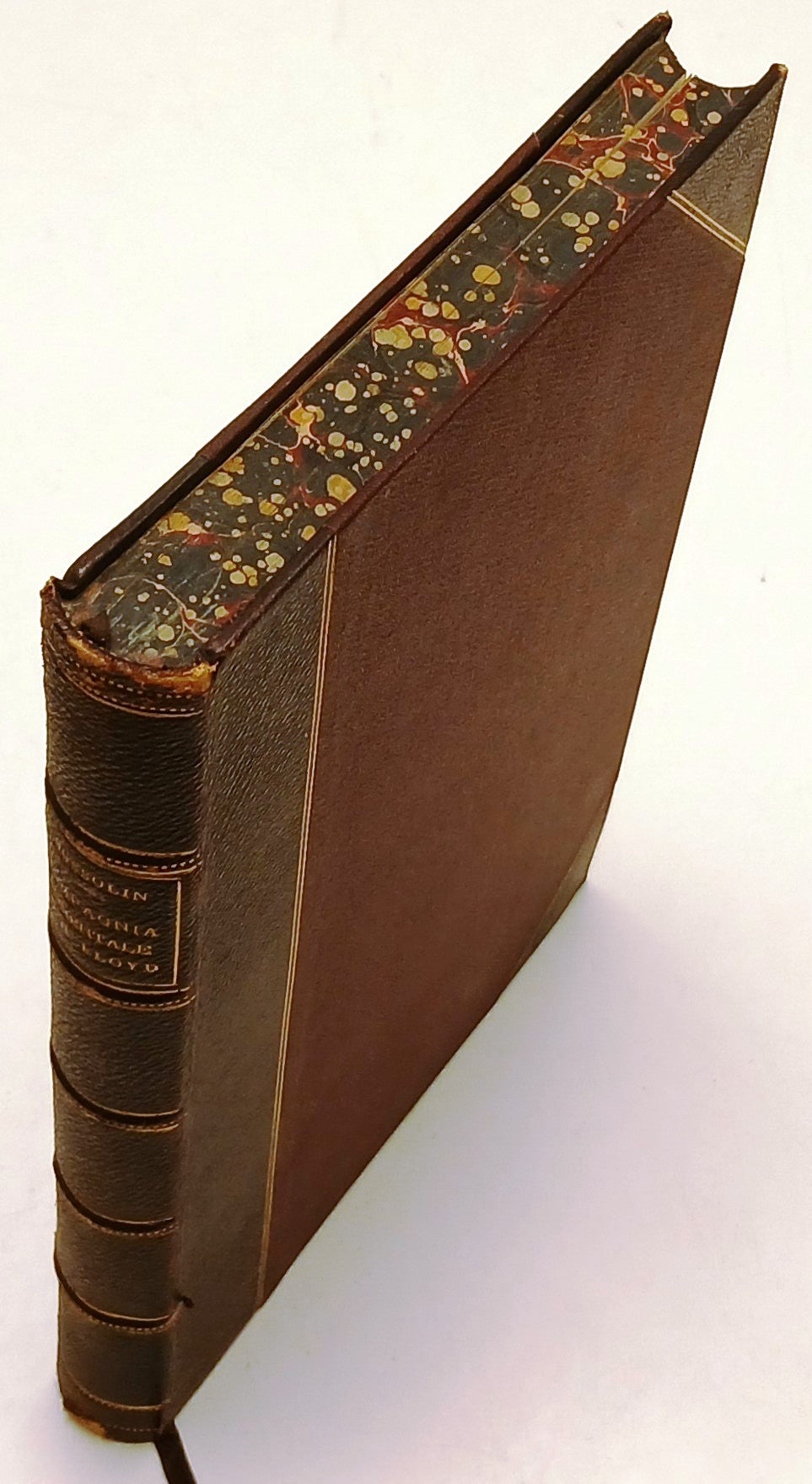 Compagnia Orientale Lloyd Austro-Ungarico - Giovanni Bussolin - 1882 - ZFS236