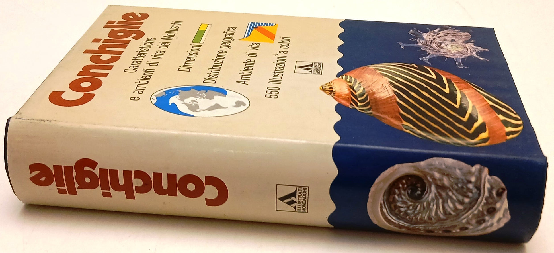 Conchiglie - Bruno Sabelli - Mondadori Illustrati - 550 illustrazioni - ZFS128
