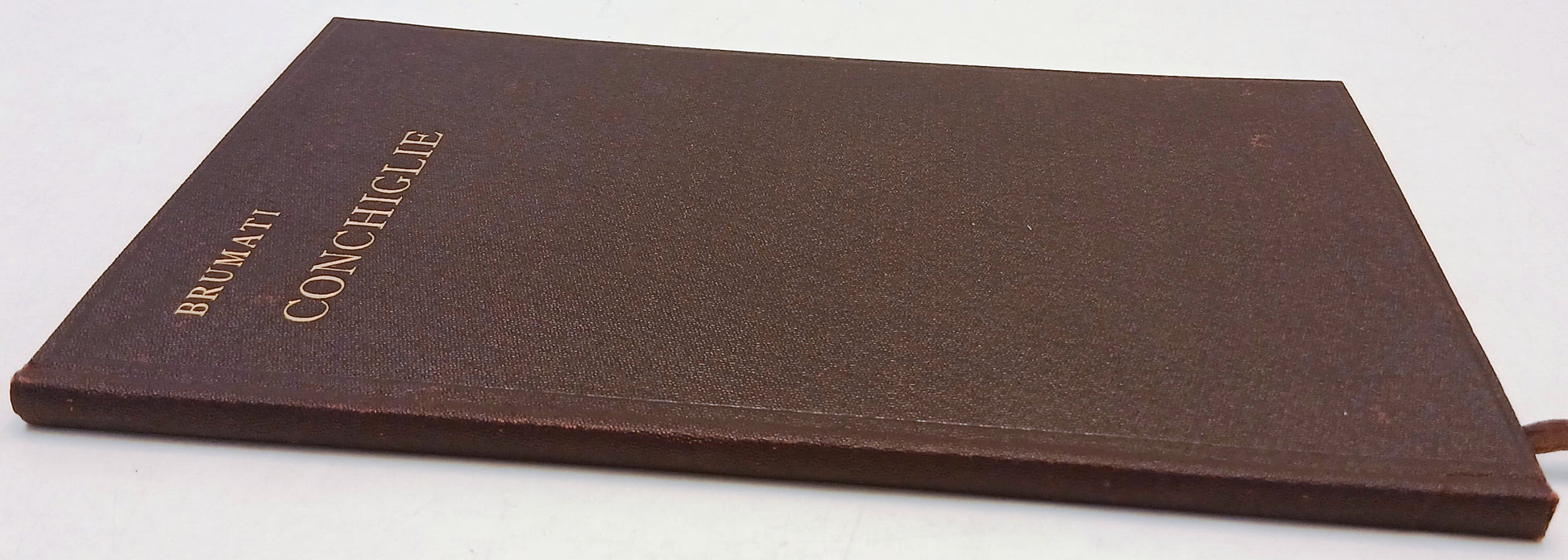 Catalogo Conchiglie terrestri e fluviatili - Brumati - Paternolli - 1838- XFS111