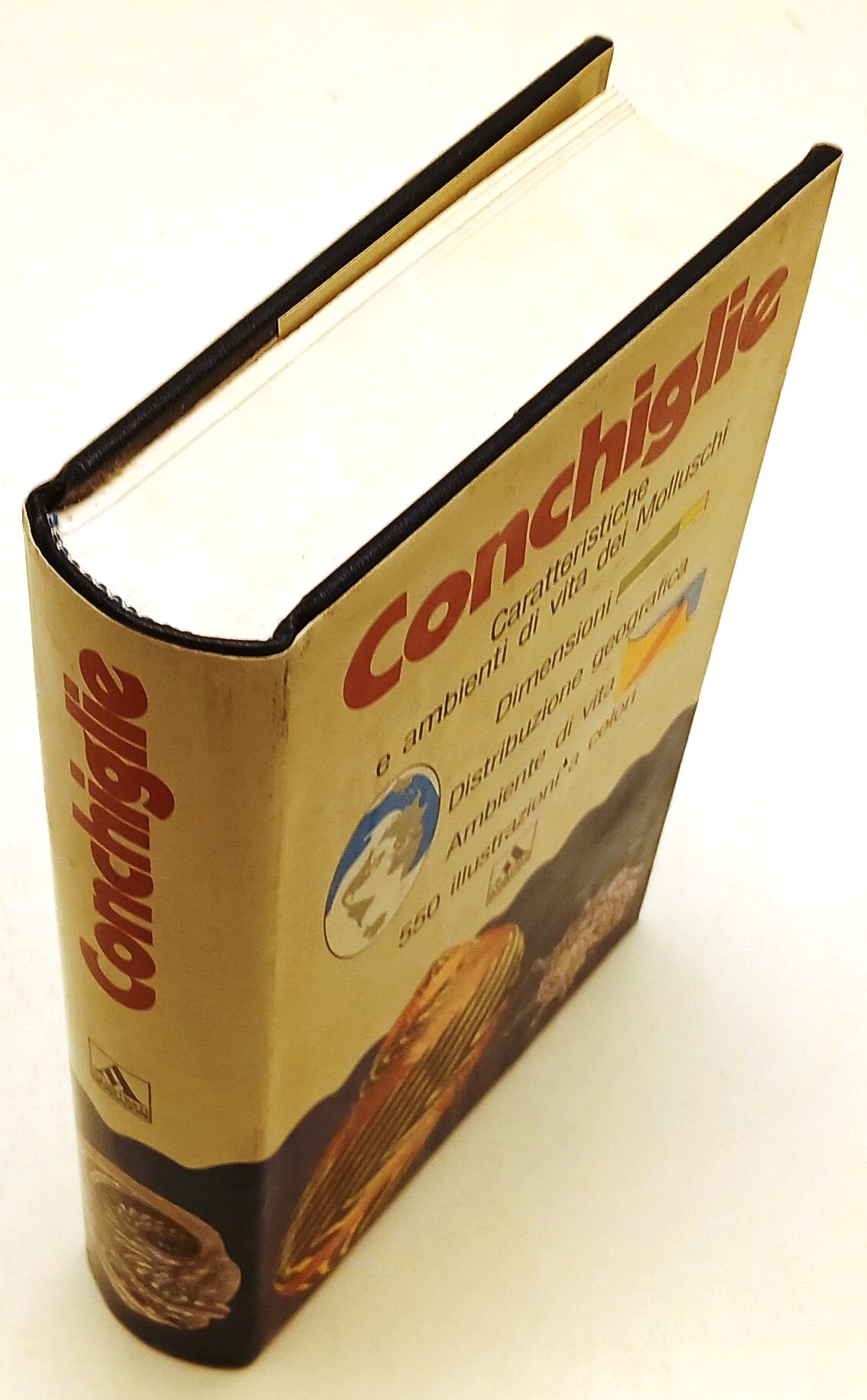Conchiglie - Bruno Sabelli - Mondadori Illustrati - 550 illustrazioni - ZFS128